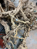 Grapewood Sand Blasted  (34 - 36 inch Plus Length) Unique & Heavy