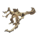 Grapewood Sandblasted (24 - 26 inch Length)