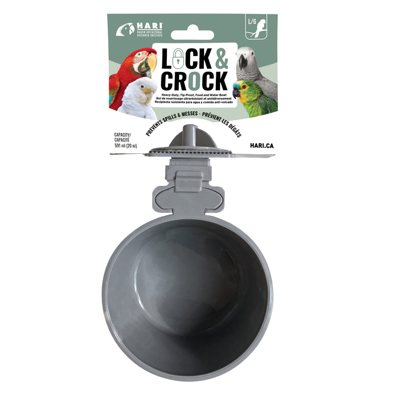 Living World Animal Lock & Crock Dish - Olive Green  ( 20 oz. )