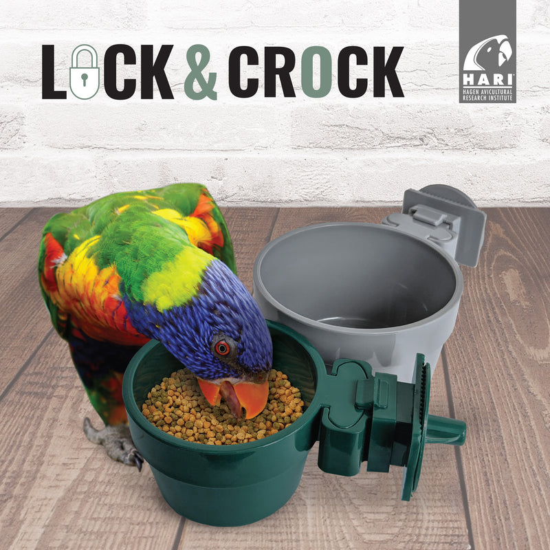 Living World Animal Lock & Crock Dish - Olive Green  ( 20 oz. )