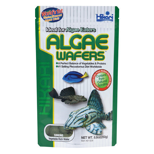 Hikari Sinking Algae Wafers 250g - Ideal for Algae Eaters