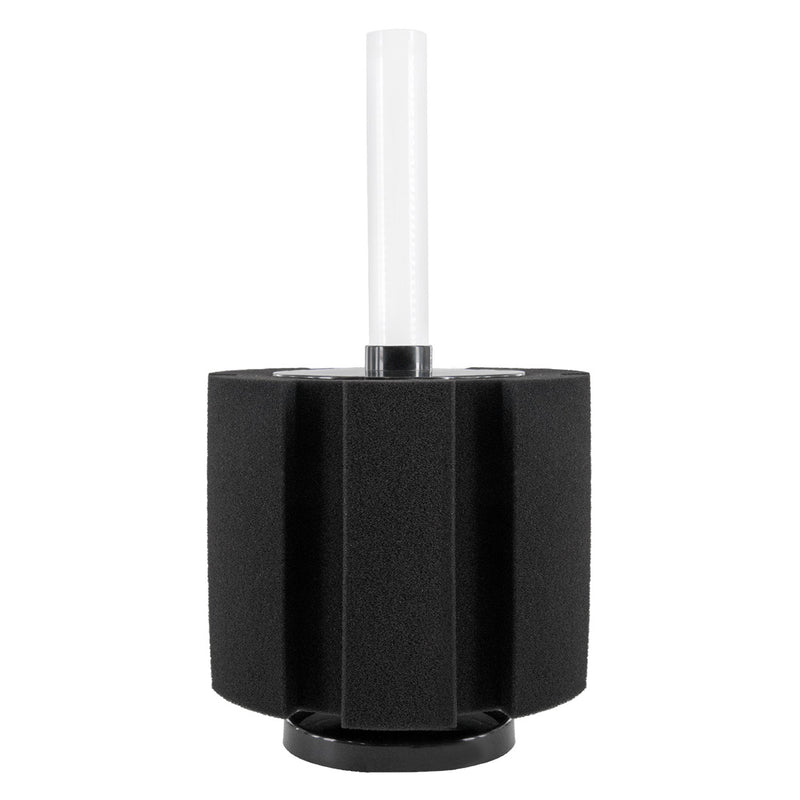 Sponge filter sale kit