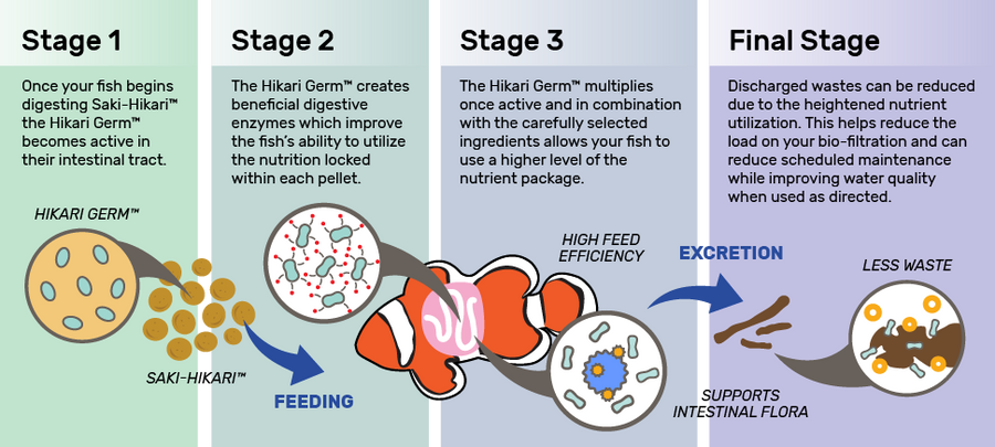 Hikari Blood Red Parrot Medium Pellets 333 g Floating Type