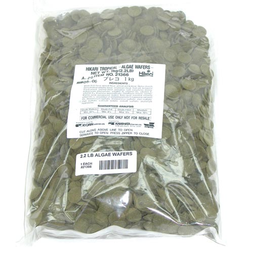 Hikari Sinking Algae Wafers - 2.2 lb - Ideal for Algae Eaters