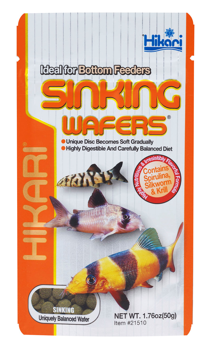 Hikari Sinking Wafers 50g - Ideal for Bottom Feeders