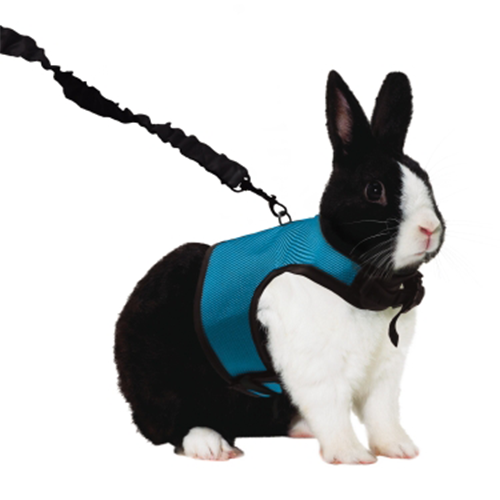 KAYTEE COMFORT HARNESS & STRETCHY LEASH EXTRA LARGE