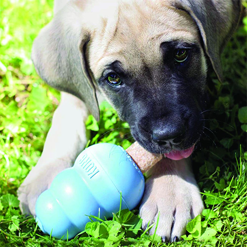 KONG ZIGGIES™ PUPPY 7 OZ Treat