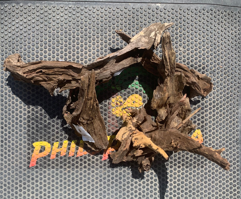 Kapas Root - Medium - For Aquariums or Terrariums