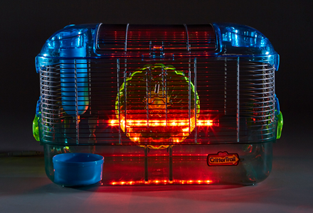 Kaytee CritterTrail LED Color Changing Habitat