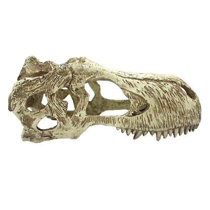 Komodo T-Rex Skull Reptile Hideout Tan L