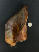 Kyon - Giant Pork Pig Ear CANADIAN