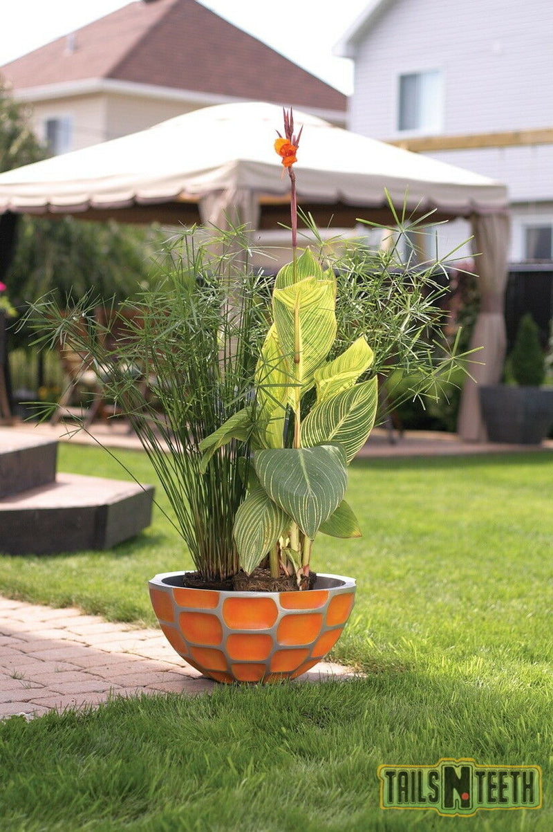 Laguna Urban Water Garden Bowl, Orange Honeycomb 20" x 9.5" - PT1130