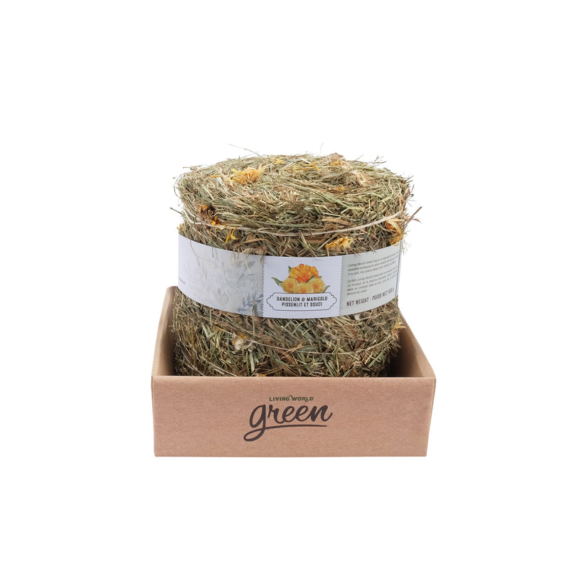 Living World Green Botanicals Meadow Hay Bale - Dandelion & Marigold - 500 g