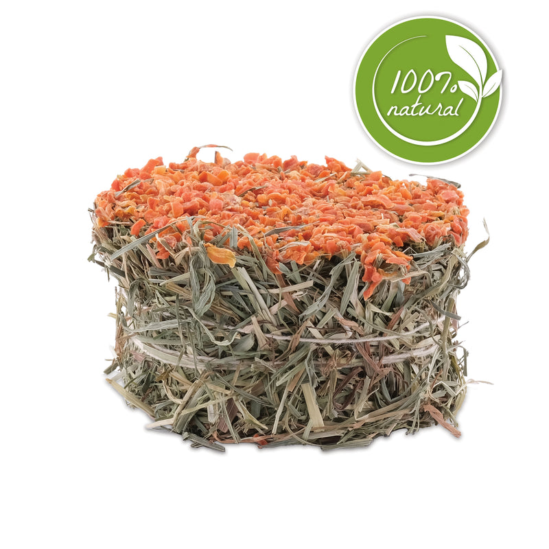 Living World Green Botanicals Hay Cake - With Carrot - 75 g