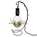 SR Aquaristik Tabletop Stand for Luminarium Terrarium / Aquarium