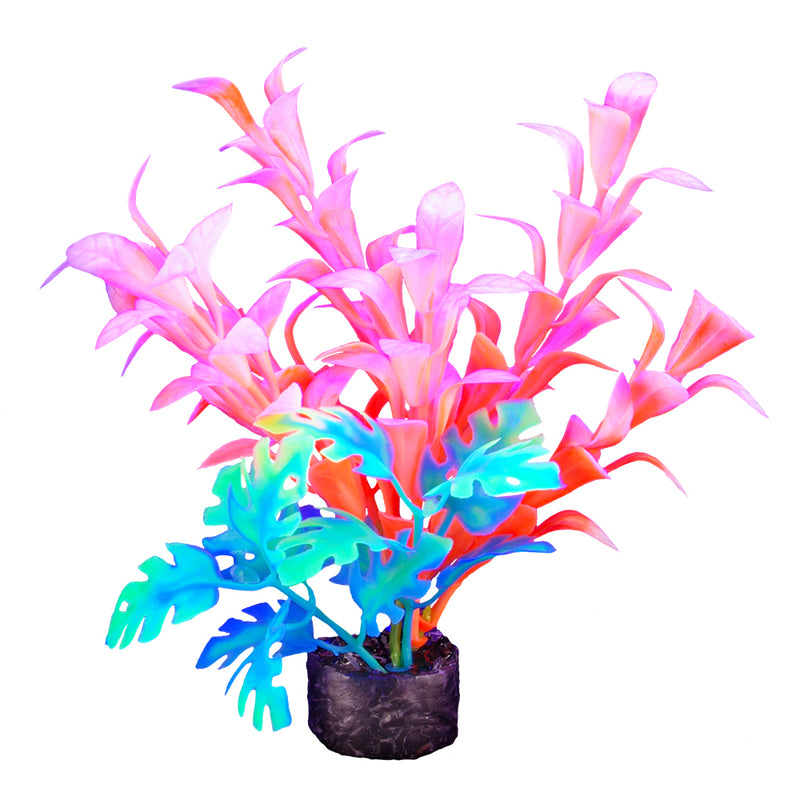 Marina iGlo Plant - 14 cm (5.5 in)