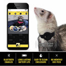 Ferret Finder Collar - WHITE - Bluetooth to your smart phone