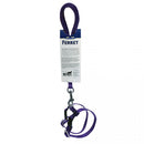 Marshall Ferret Harness and Lead Set - Purple