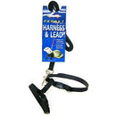 Marshall Ferret Harness and Lead Set - Black