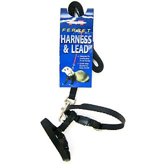 Marshall Ferret Harness and Lead Set - Black