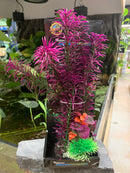 UT Mayaca - Purple 4" x 2.5" x 12"