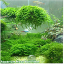 Aquarium Fish Media Floating Moss Ball Filter (grow your own moss)