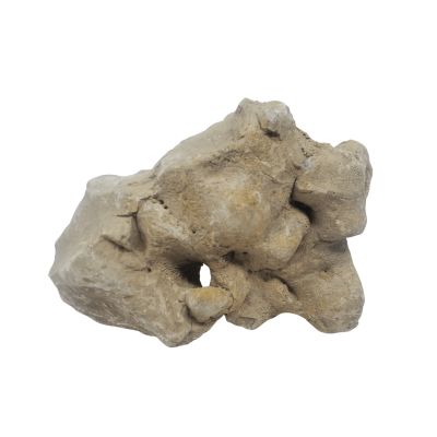 Moon Rock (Sold By The Pound)