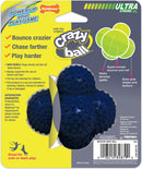 NYLABONE Power Play Crazy Ball Dog Toy