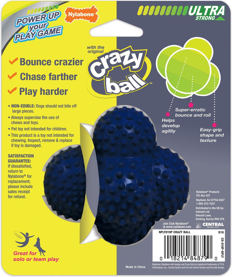 Crazy ball dog clearance toy