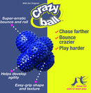 NYLABONE Power Play Crazy Ball Dog Toy