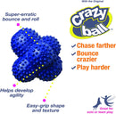 NYLABONE Power Play Crazy Ball Dog Toy