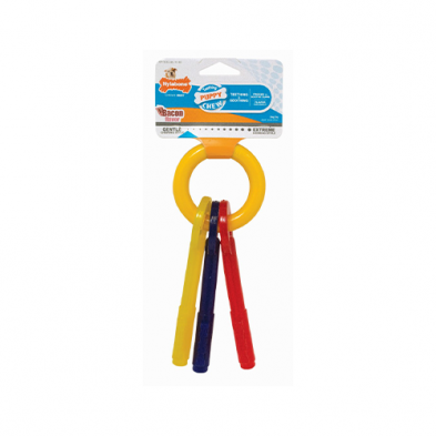 NYLABONE® PUPPY TEETHING KEYS CHEW TOY SMALL