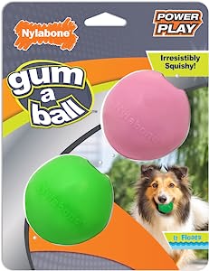 Nylabone Power Play Gum a Ball for Dogs l Enrichment Dog Toys for The Ultimate Playtime Experience