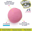 Nylabone Power Play Gum a Ball for Dogs l Enrichment Dog Toys for The Ultimate Playtime Experience