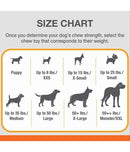 Nylabone Puppy Chew Stages Triple Chew Toy Pack, Medium/Wolf, 3 Count