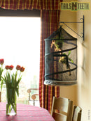 Exo Terra Explorarium - Quick Release Full Screen Terrarium- SMALL - PT-2590