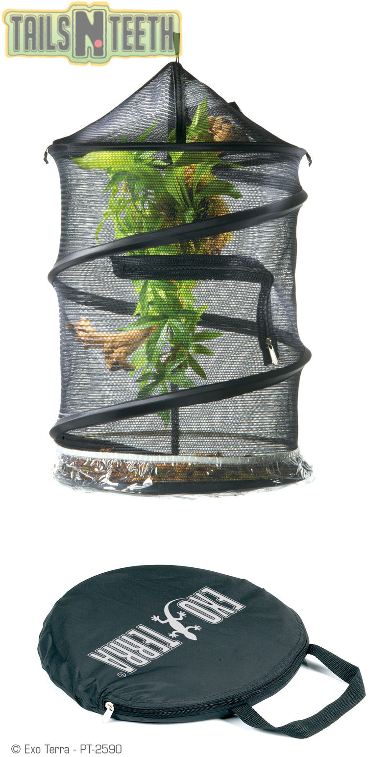 Exo Terra Explorarium - Quick Release Full Screen Terrarium- SMALL - PT-2590