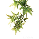 Exo Terra Jungle Plant - Croton - Large