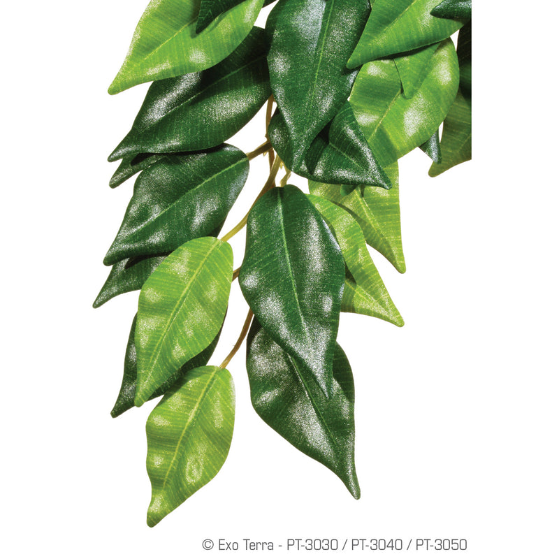 Exo Terra Silk Plant - Ficus - Large