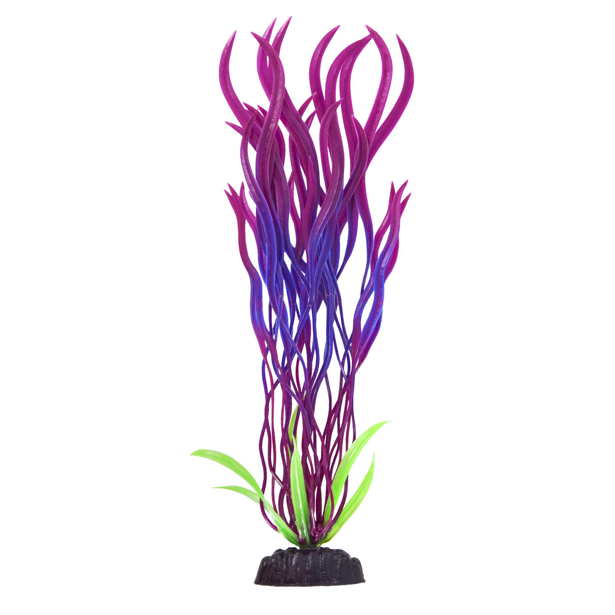 Pearl Finish Wave Val - Purple/Red - 12