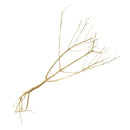 Photinia Wood - Medium - Aquascaping Decor