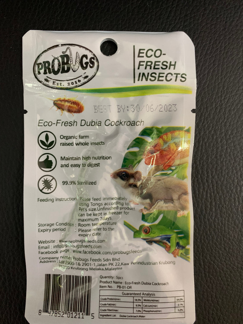 ProBugs Eco-Fresh Insects - Dubia Cockroaches - 5 Pcs.