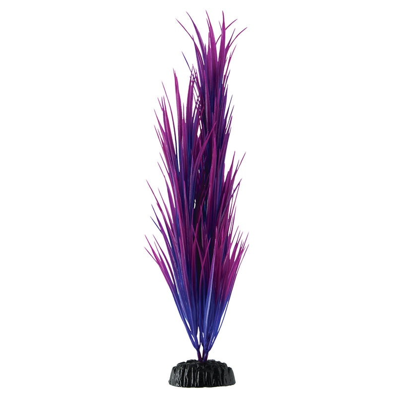 Purple Nile Grass - 14.75"