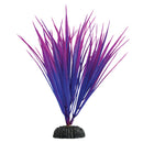 Purple Nile Grass - 7.5"