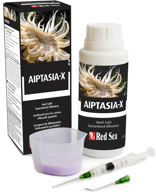 Red Sea Aiptasia-X 60ml - Guaranteed, Reef-Safe Elimination of Aiptasia