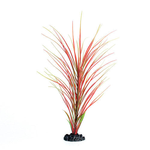 Red / Green Hairgrass - 16"