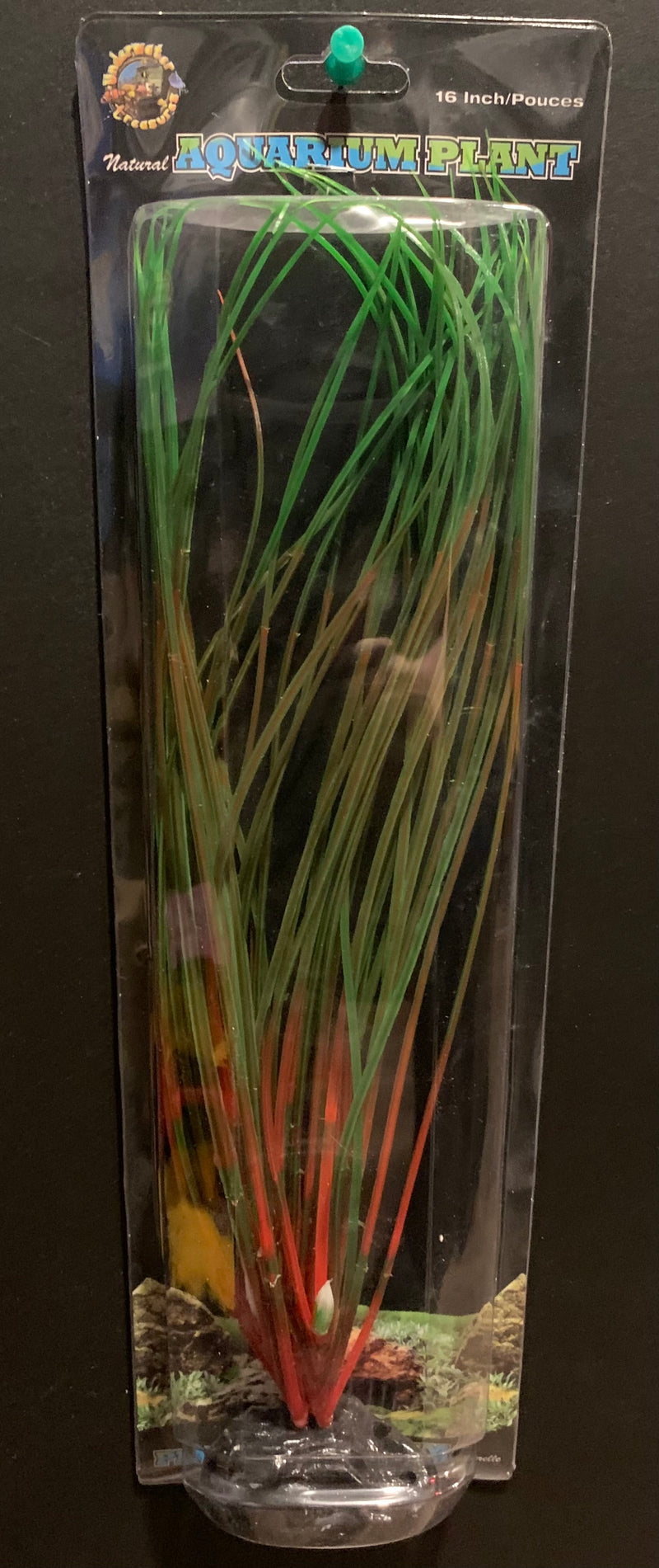 Red / Green Hairgrass - 16"