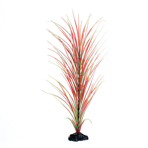 Red / Green Hairgrass - 20"