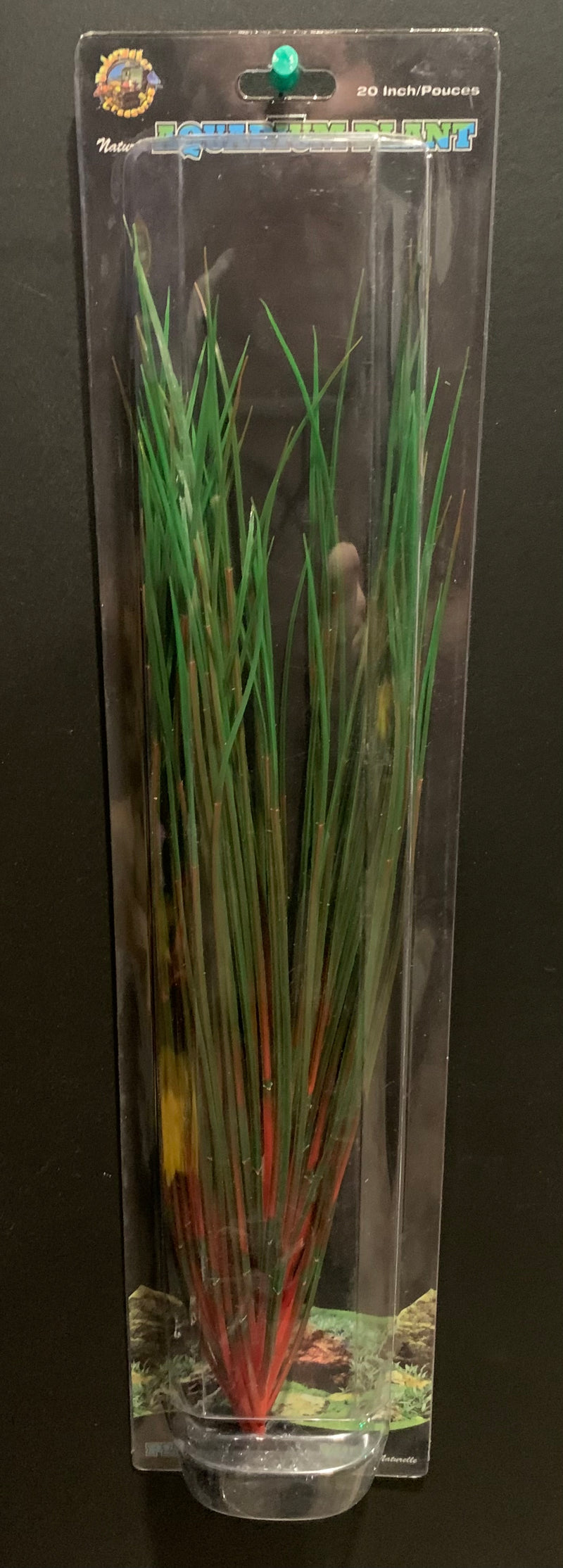 Red / Green Hairgrass - 20"