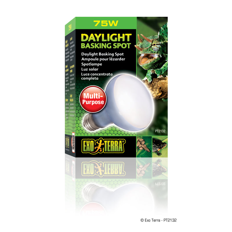 Exo Terra Daylight Basking Spot Lamp - R20 / 75 W - Broad-Spectrum Daylight Sot Lamp